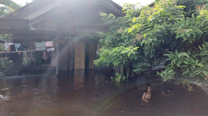 Banjir di Desa Binturu Tabalong Semakin Meninggi, Warga Mulai Dievakuasi