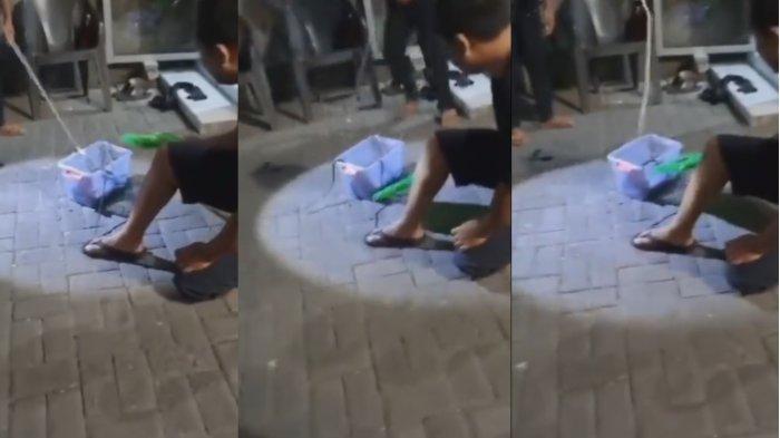 Viral Dosen di Solo Jawa Tengah Dapat Teror Paket Berisi Ular, Istri Menangis Histeris