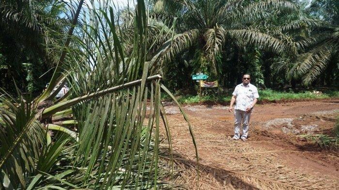 DPRD Apresiasi Langkah Pemkab Tala Percepat Pelepasan Lahan HGU PTPN, Tahun Ini Diharap Tuntas