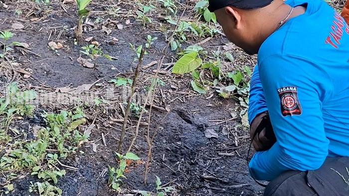 Kondisi Terakhir Balita Umur 2,5 Sebelum Hilang di Hutan Bidukun Desa Malinau HSS Kalsel