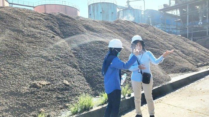 Dinas Perkebunan Kalimantan Selatan Minta Pabrik Serap Sawit Petani