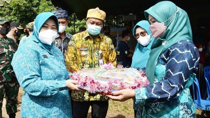 Paman Birin dan Ketua TP PKK Kalsel Tinjau Vaksinasi di Panyipatan