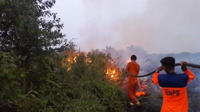 Puluhan Hektar Kawasan Lahan dan Hutan di Balangan Terbakar, Pemadaman Dilakukan Malam Hari