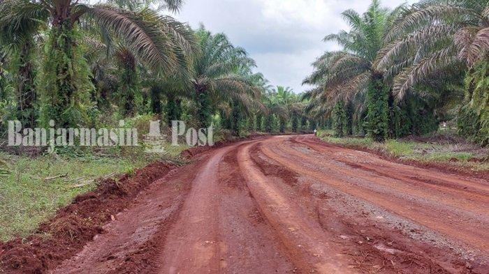 BREAKING NEWS: Hari Ini Warga Tebingsiring Tanahlaut Datangi PTP, Agenda Utama Tutup Jalan Kebun