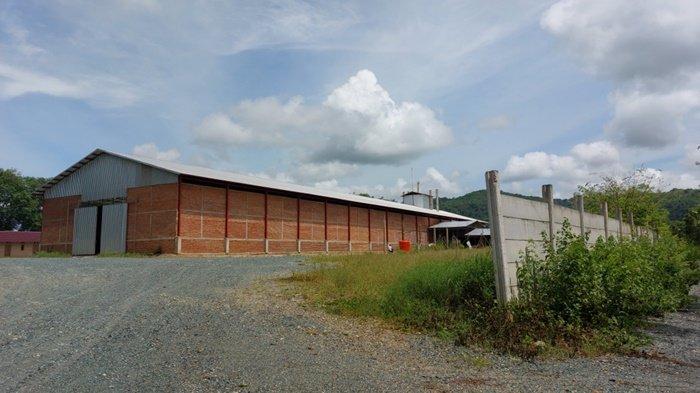 Investor Diminta Perhatikan Perizinan Sebelum Operasional, Pemda Perlu Lebih Intens Sosialisasi