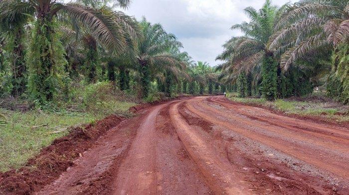 Perbaikan Jalan  Tebingsiring Bisa Segera Dieksekusi, DPRD  Sarankan Pemkab Tala Cermati Ini