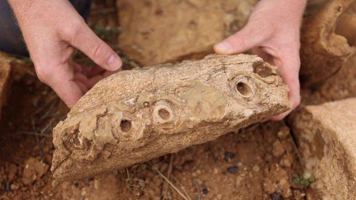 Ahli Temukan Fosil Langka Reptil Air di Australia, Berusia 100 Juta Tahun, Begini Penampakannya