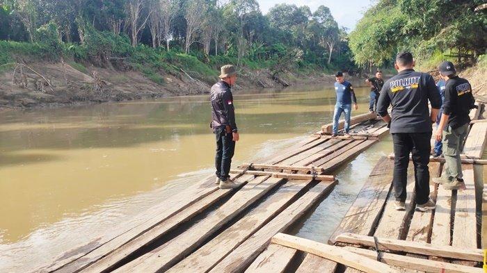 Marak Penebangan Liar, Dishut Kalsel Temukan 66 Potong Kayu pada Tiga Bulan Terakhir