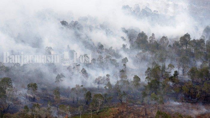 Pantau Karhutla Kalsel via Udara, Ini yang Dirasakan Orang Awam Saat Naik Helikopter BNPB