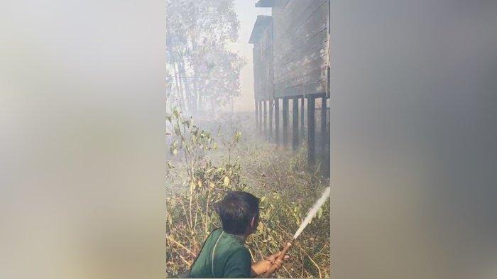 Karhutla Kalsel - Lagi-lagi Api Berkobar di Gunungraja Kabupaten Tala hingga ke Lantai Rumah Warga