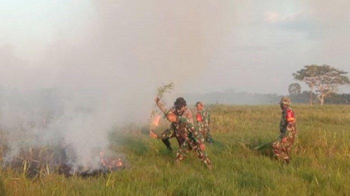 Dampak Elnino, BMKG Ingatkan Krisis Air