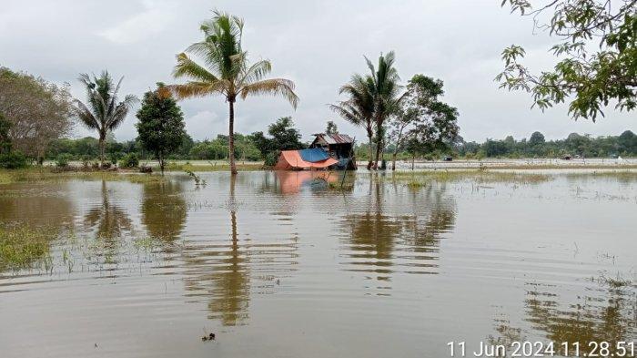 Banjir Terus Menerjang, Sepuluh Sekolah di Tanahbumbu Diliburkan