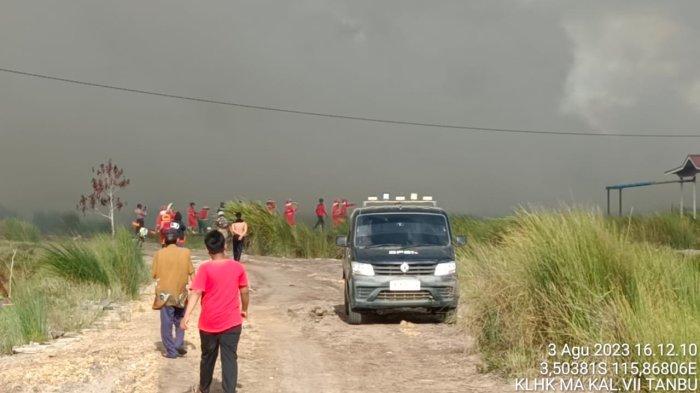 Puluhan Hektar Lahan Terbakar di Tanah Bumbu, Kepala BPBD: Waspadai Jika Dedaunan Kering