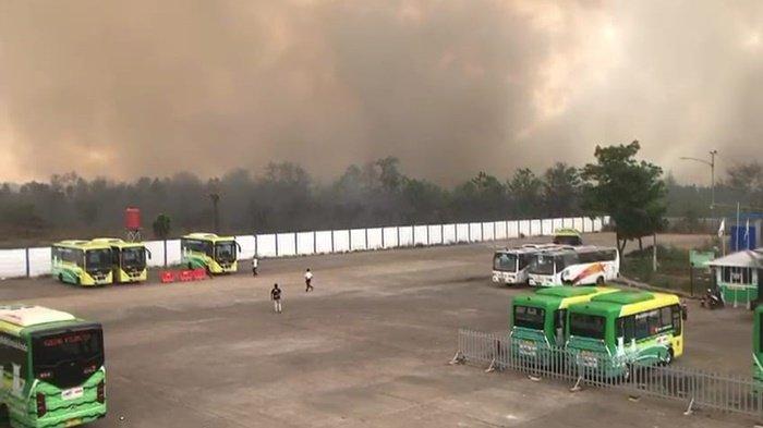 Lahan Sekitar Terminal Gambut Barakat Terbakar, Bus BTS Trans Banjarbakula Tetap Beroperasi Normal