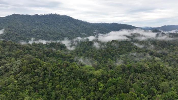 Kondisi Desa Juhu dan area Pegunungan Meratus di HST  02