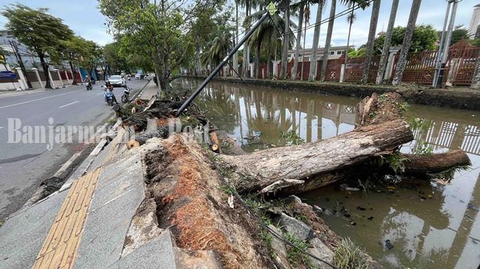Gegara Pohon Tumbang, Trotoar di Samping Masjid Sabilal Muhtadin Banjarmasin Rusak Parah