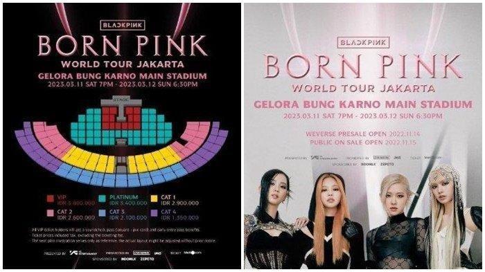 Kisah Blink Banjarmasin Rela Terbang ke Jakarta Saksikan BLACKPINK, Rela Habiskan Uang Puluhan Juta