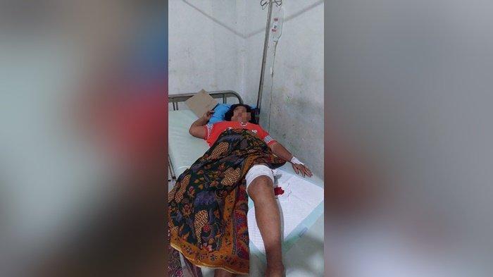 Beruang Serang Petani Karet di Desa Kinarum Tabalong Kalsel, Nenek 60 Tahun Ini Alami Luka Gigitan