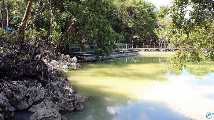 Intip Pesona Wisata Air Panas Danum Layong Paser Kaltim, Dipercaya Mengobati Penyakit Kulit