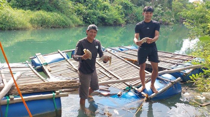 Hasil Lab Sampel Air Sungai Jorong Tak Kunjung Diumumkan Dinas LH, Begini Kata Wakil Rakyat Tala