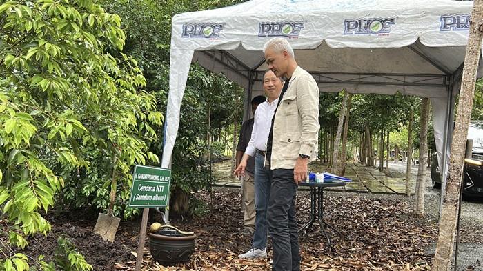 TANAM POHON - Mantan Gubernur Jawa Tengah, Ganjar Pranowo melakukan kunjungan dan menanam pohon Cendana NTT di Arboretum Ayu Tirta, Jalan Ahmad Yani Km 10, Kertak Hanyar, Kabupaten Banjar, Rabu (12/11/2025).
 