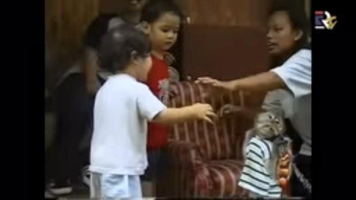 Lama Tersimpan, Pengasuh Kuak Kehidupan Al El Kala Maia Estianty dan Ahmad Dhani Masih Bersatu