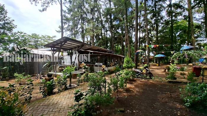 HUTAN PINUS BANJARBARU - Pengunjung yang ingin masuk ke Hutan Pinus Banjarbaru gratis, namun bisa sewa gazebo.