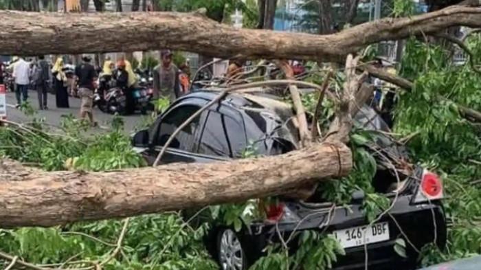 Tertimpa Pohon di Area Proyek Alun-alun Sidoarjo, Honda Brio Rusak Parah