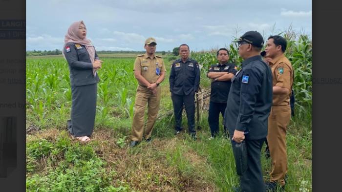 Pemekaran Kecamatan Pelaihari Kembali Dibahas, Nama dan Lokasi Ibu Kota Bakal Diubah