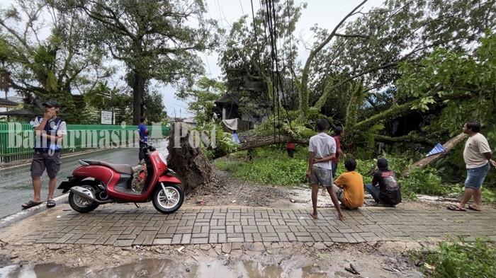 Pohon Besar di Belakang Museum Wasaka Banjarmasin Tumbang, Timpa Kabel Listrik