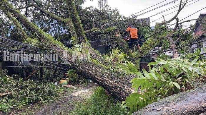 Warga Bahu-Membahu Evakuasi Pohon Tumbang di Belakang Museum Wasaka Banjarmasin