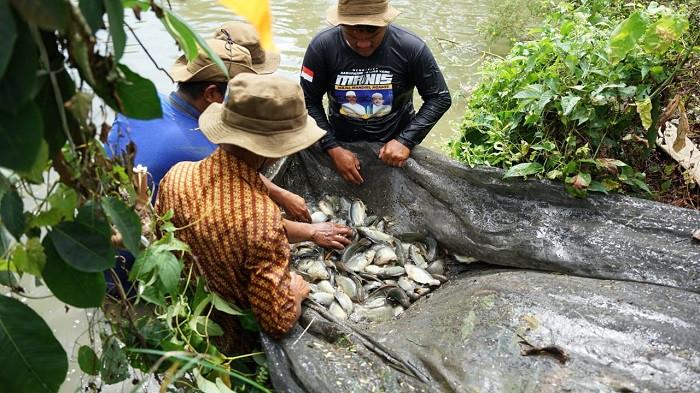 Kelompok Tani Tabulihin Panen 1,3 Ton Ikan Papuyu Untuk Kedua Kalinya