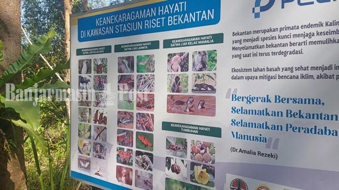 PAPAN PEMBERITAHUAN - Papan pemberitahuan tentang keragaman hayati yang ada di stasiun riset Bekantan.