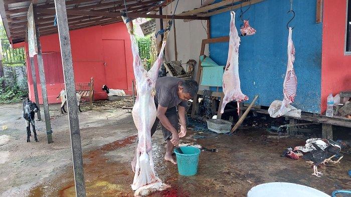 Harga Sapi dan Kambing Naik, Permintaan Hewan Kurban di Banjarmasin Masih Sedikit