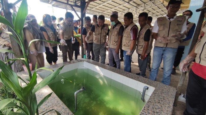 Pemberantasan Sarang Nyamuk Bersama Jumantik Indomaret x Baygon 2023 Digelar di Patarikan HSU