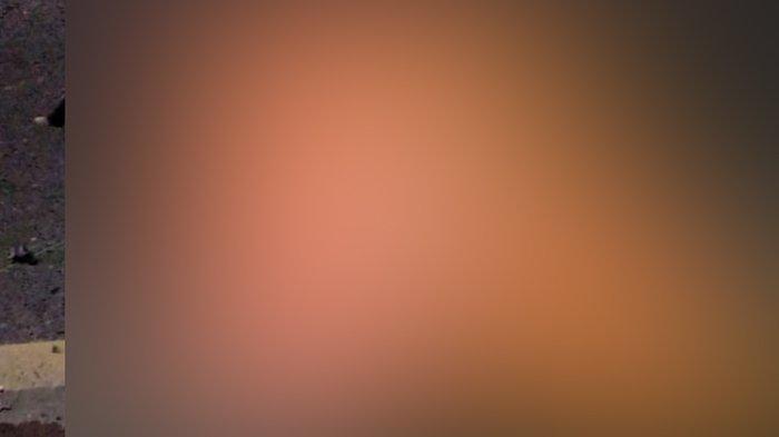 Kecelakaan di Kalsel, Tabrak Pembatas Jalan di Banjarbaru, Nyawa Pasutri Tak Tertolong