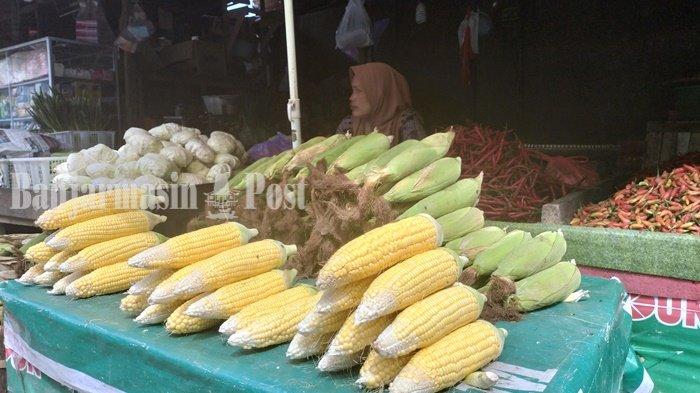 Wajib Tahu, Ini Manfaat Jagung Bagi Kesehatan, Diantaranya Bisa Bikin Mata Sehat