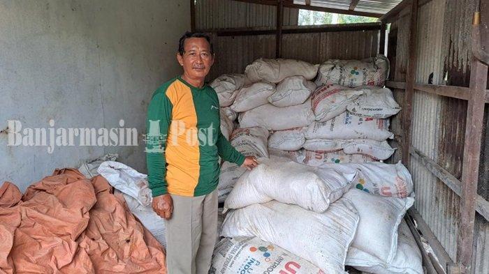 Demi Ketahanan Pangan Di Kalsel Subsidi Pupuk Naik 70 persen