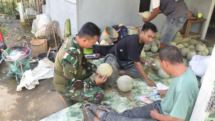 Angkut Hasil Panen Melon, Warga Gumbil Lewati Jalan Dibangun Satgas TMMD ke 121 Kodim 1003 HSS