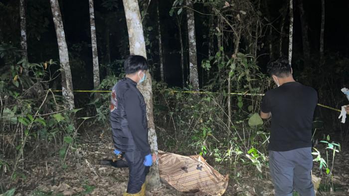 Dua Hari Kendaraan Terparkir dalam Kebun, Pria Paruh Baya di Tabalong Ditemukan Meninggal Dunia