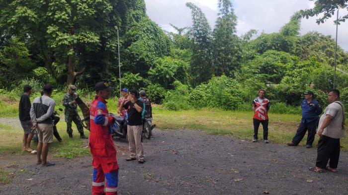 Serangan Monyet Liar Bikin Resah Warga Kelurahan Mentaos Banjarbaru, Empat Orang Jadi Korban