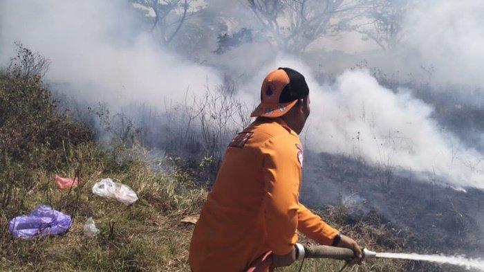 Api Lumat Rerumputan di Kawasan Pasar Raya Keraton Rantau Tapin, BPBD Sampai Kerahkan Tangki Air