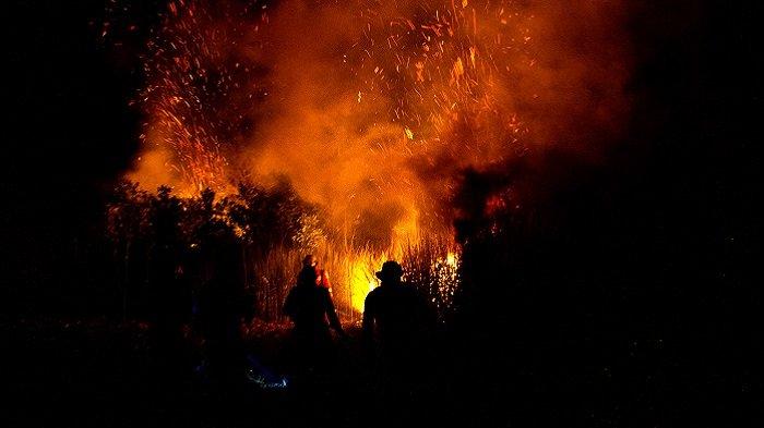 Kalsel Darurat Karhutla, BMKG Prediksi Musim Kemarau Bisa Sampai September