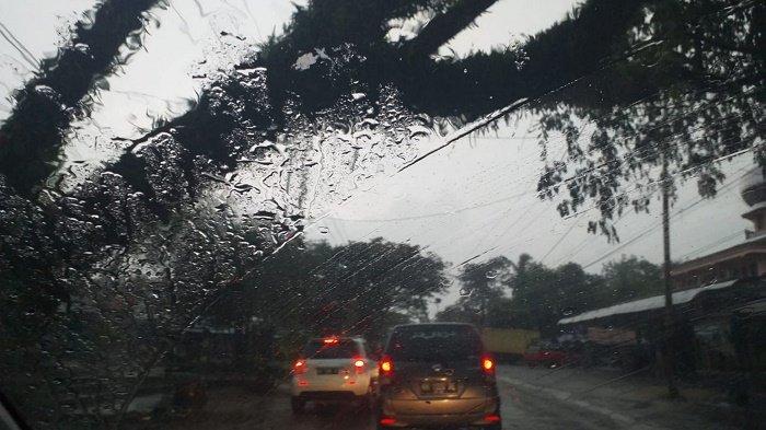 Diterjang Angin Kencang, Pohon di Pulau Pinang Tapin Nyaris Roboh, Lalu Lintas Sempat Tertahan