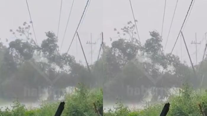 Pohon Tumbang Tutup Akses Jalan Menuju Darul Hijrah Kabupaten Banjar, Pengendara Putar Balik