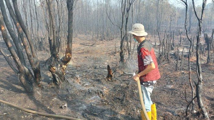 Permukiman di Liang Anggang Banjarbaru Disambar Karhutla, Warga Terkendala Akses Air Padamkan Api