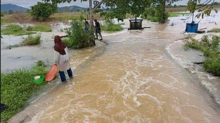 Banjir di Kalsel - Persawahan di Desa Panjaratan Kabupaten Tanahlaut Turut Tenggelam, Ini Luasannya