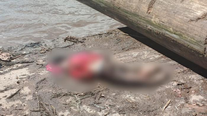 Polisi Dalami Dugaan Kecelakaan Kerja di Sungai Barito Banjarmasin, Buruh Tewas Tertimpa Kayu Log