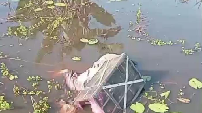 Polisi Ungkap Kronologis Temuan Jasad Pria Tunawicara di Persawahan Beruntung Baru Kabupaten Banjar