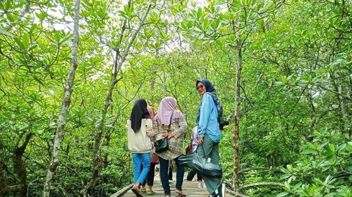 Warga Lokal Dilibatkan Pelihara Mangrove di Kalsel, SBI Fokus pada Rambai untuk Bekantan